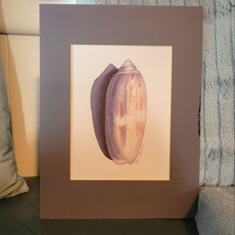Lettered Olive, Seashell, Fine Art Print w/ Mat